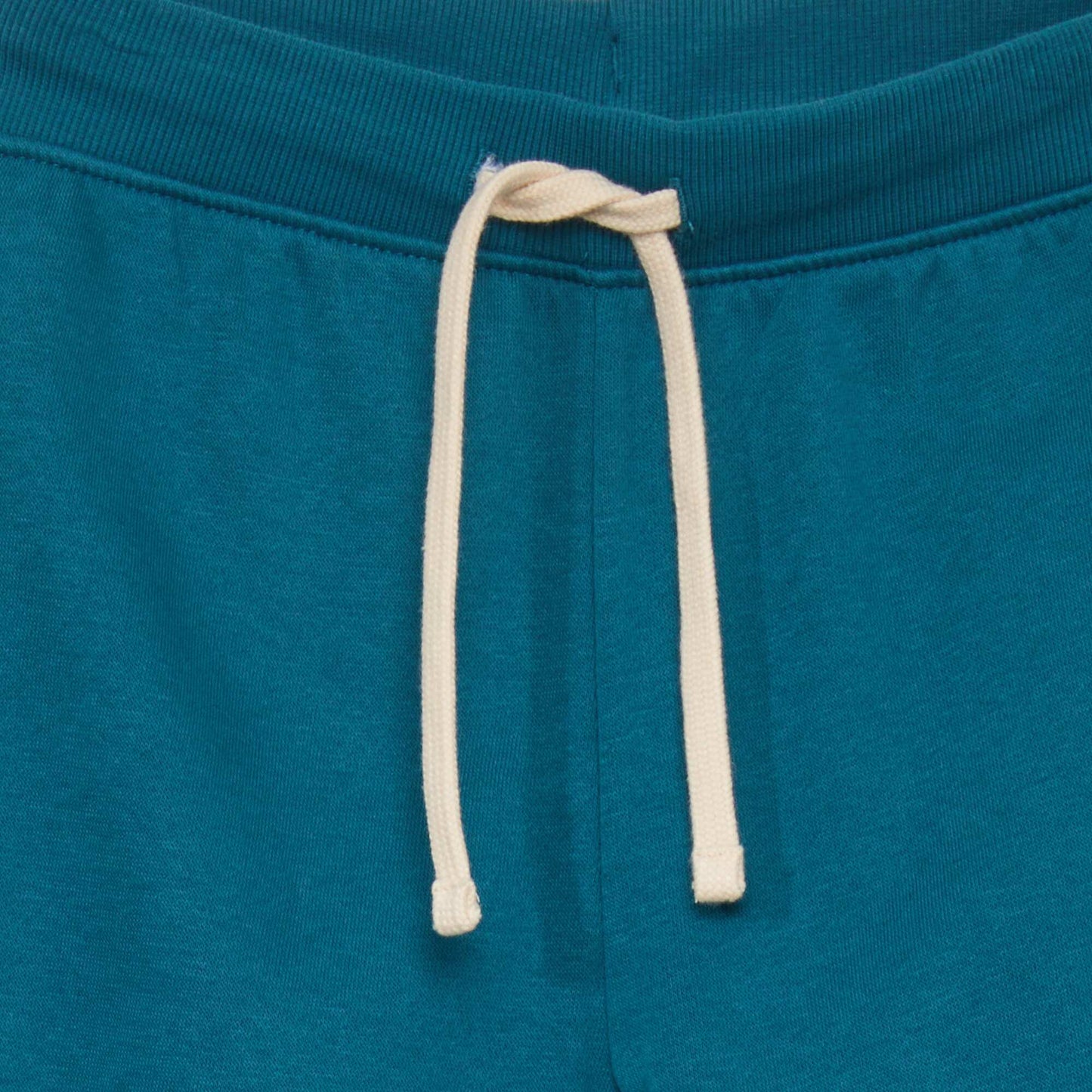 Joggers BLUE