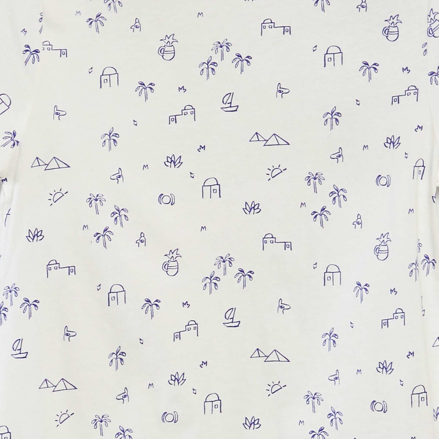 CSK38_12_ZC2