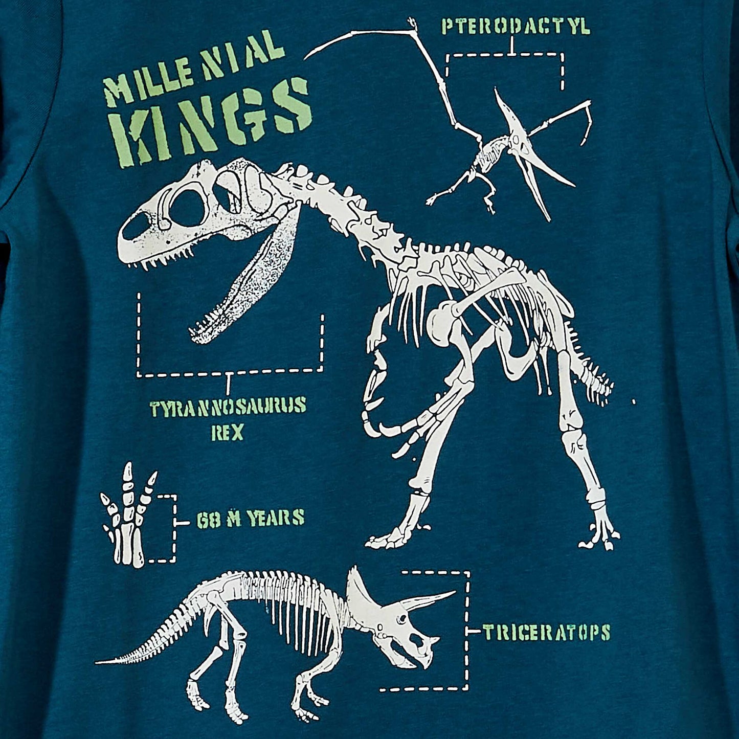 Long-sleeved jersey T-shirt BLUE_DINO