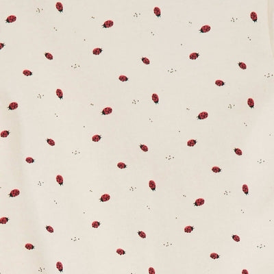 CPW55_6_ZC2