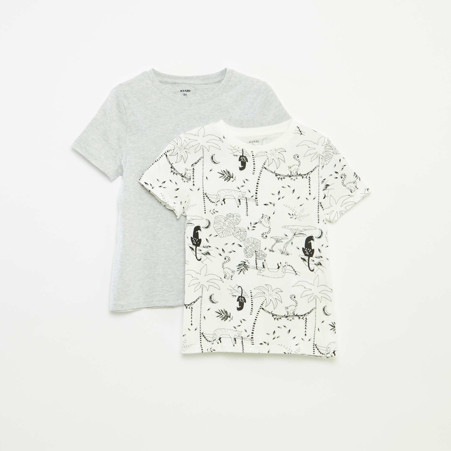 Pack of 2 short-sleeved round-neck t-shirts WHITE