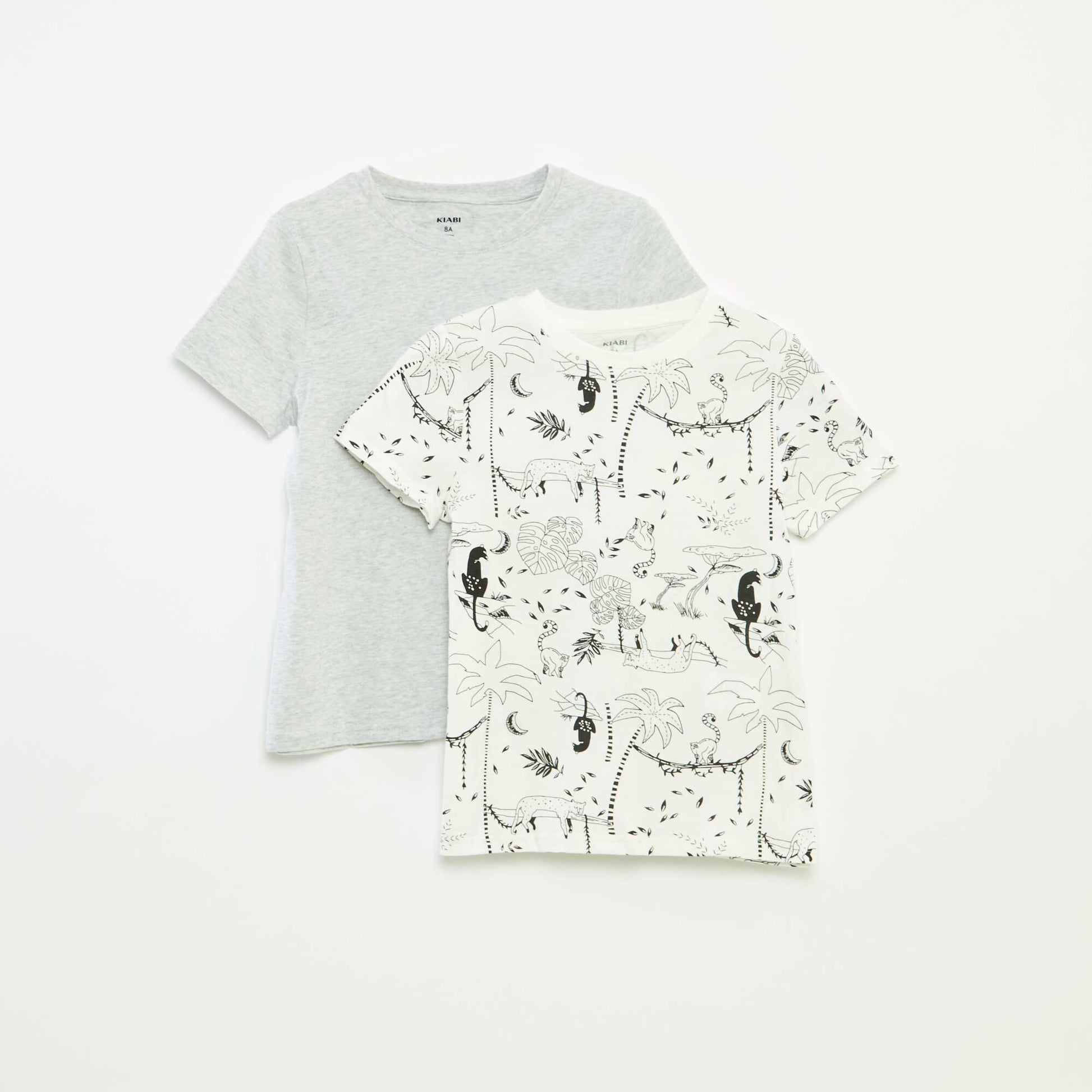 Pack of 2 short-sleeved round-neck t-shirts WHITE