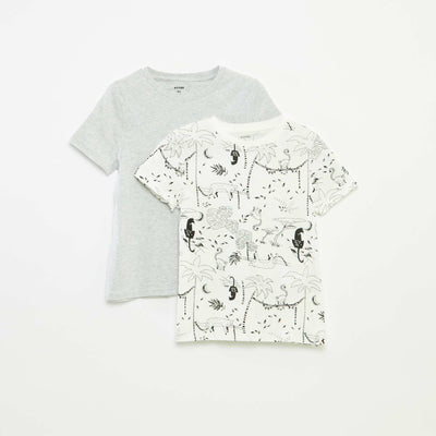 Pack of 2 short-sleeved round-neck t-shirts WHITE