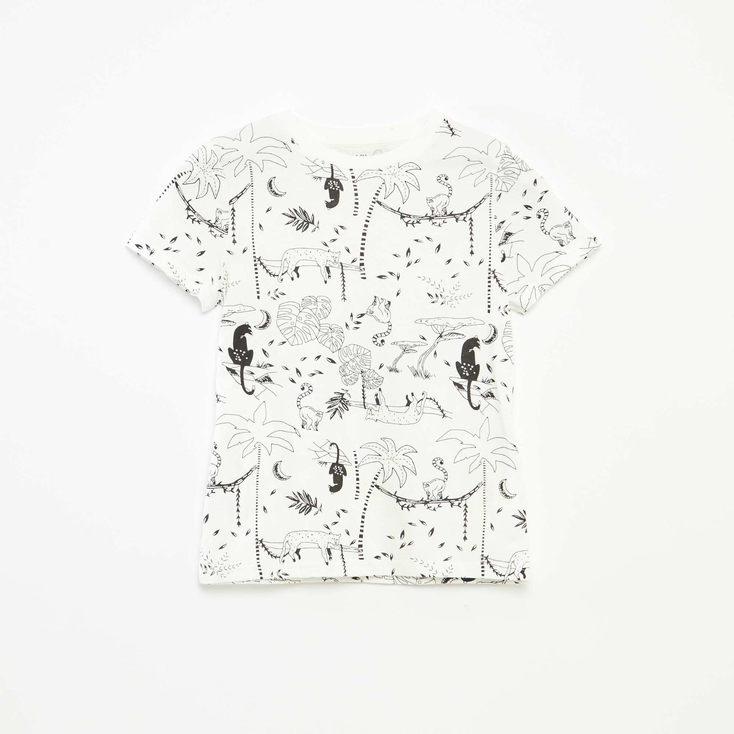 Pack of 2 short-sleeved round-neck t-shirts WHITE