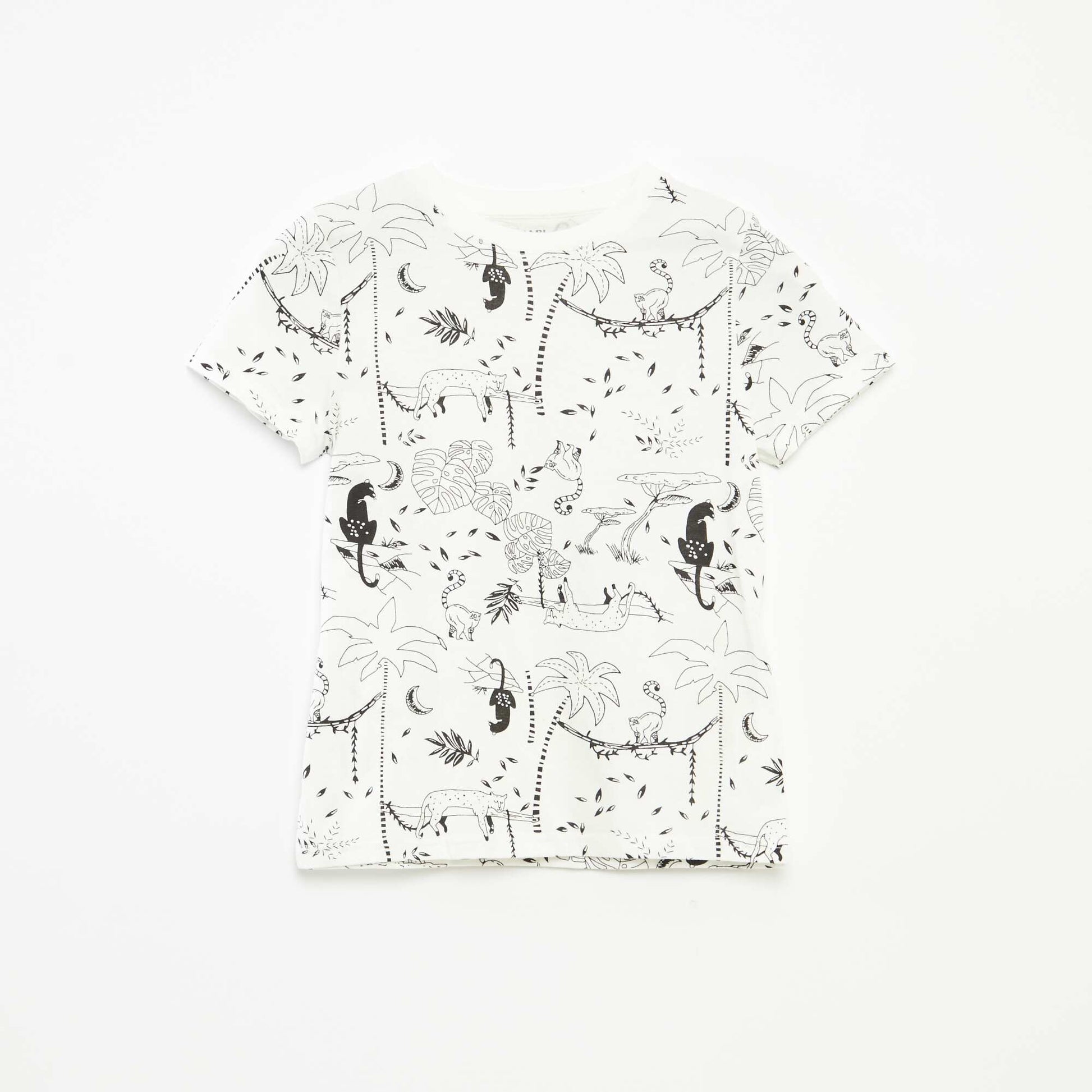 Pack of 2 short-sleeved round-neck t-shirts WHITE
