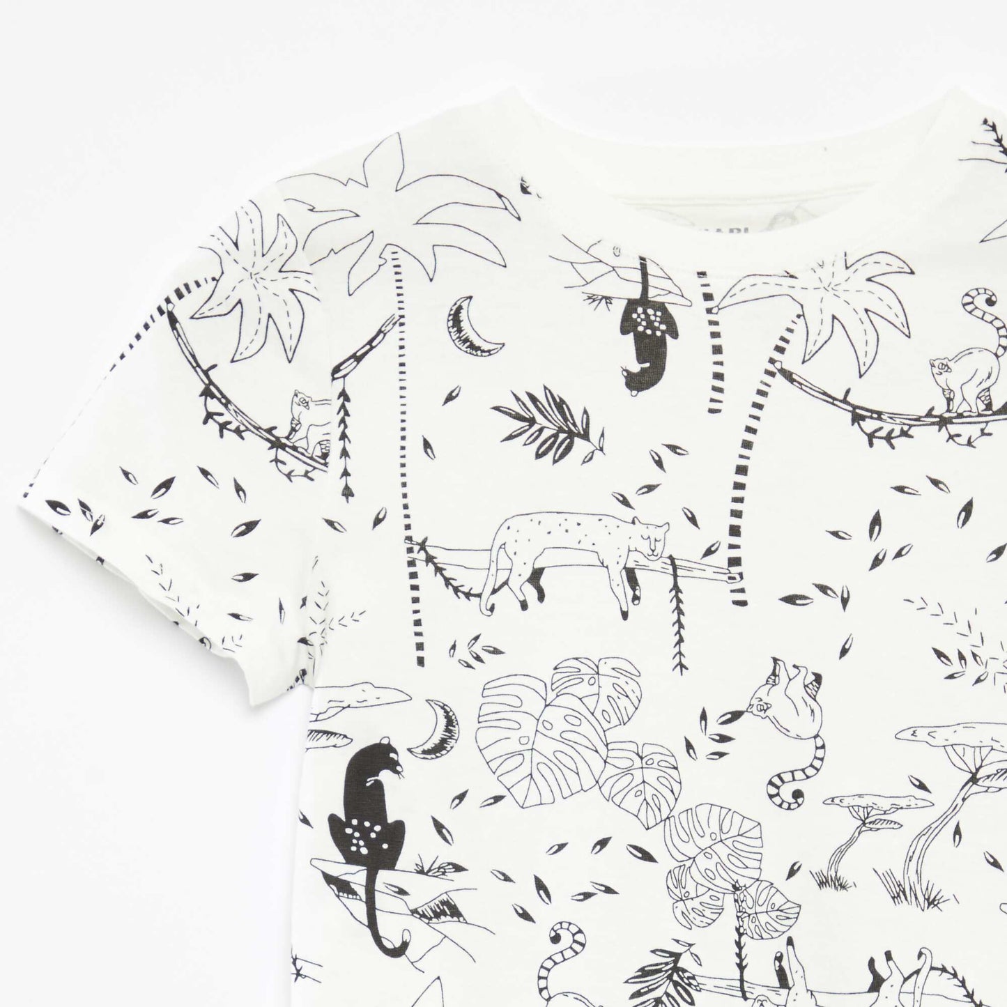 Pack of 2 short-sleeved round-neck t-shirts WHITE