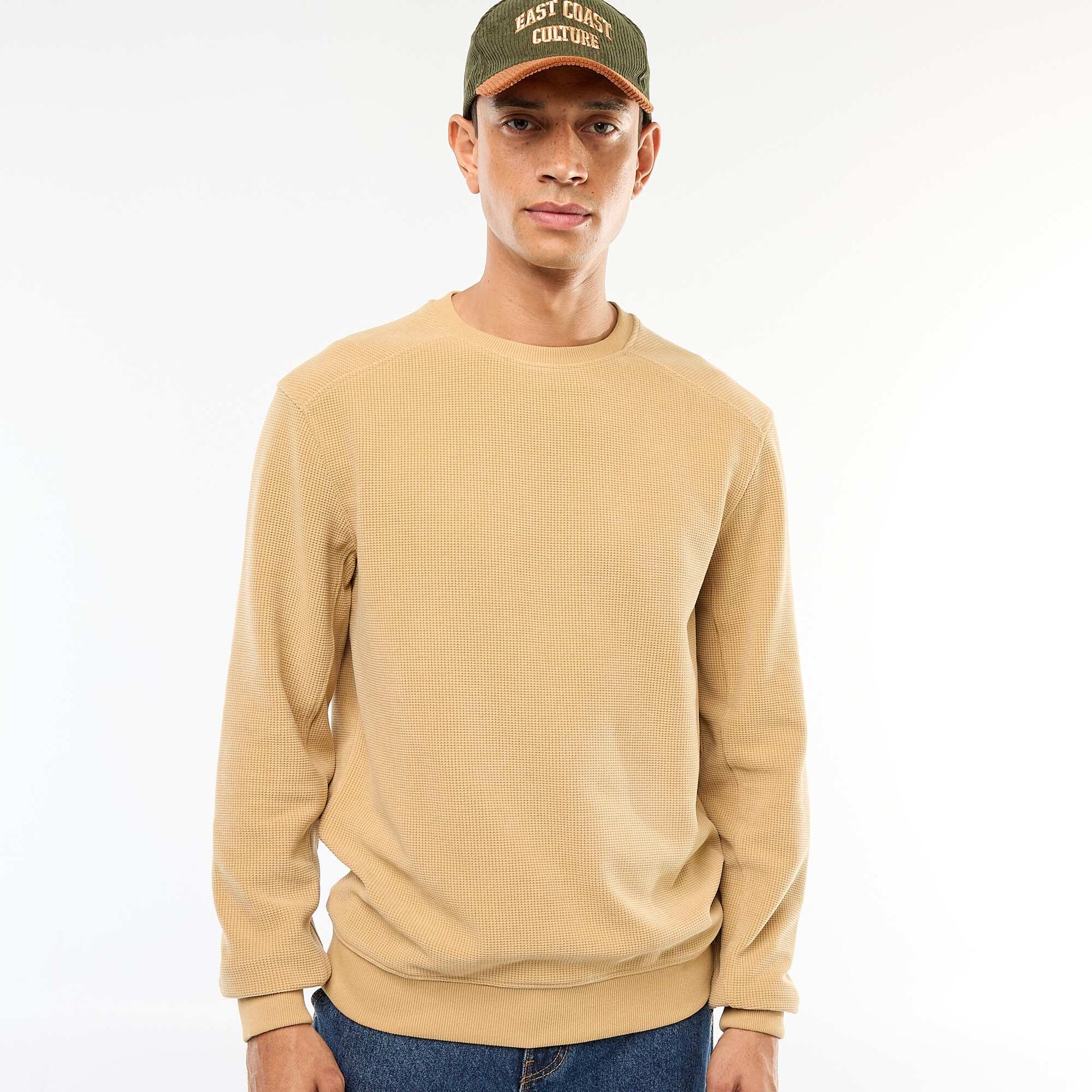 Regular Fit Knit Sweater with Textured Design BEIGE