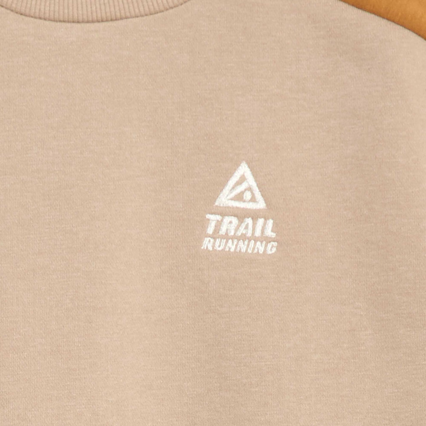 Color Block Crew Neck Sweatshirt BEIGE