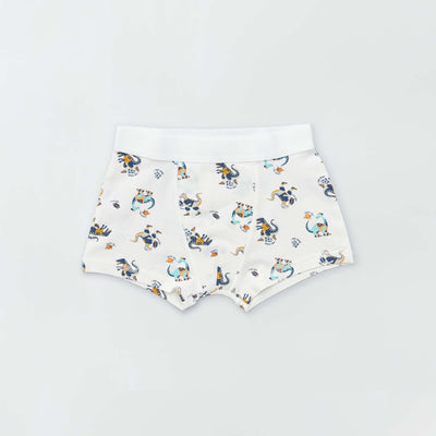 Pack of 3 pairs of boxer shorts GREY